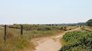 Umgebung von Krage Aktivhus