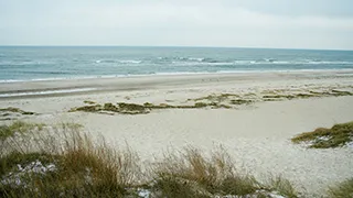 Strand in der Nähe von Fasan Aktivhus