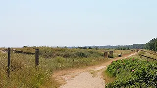 Umgebung von Terne Aktivhus