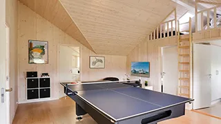 Tischtennisplatte  Aktivhus Råbylille