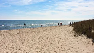 Strand in der Nähe von Marielyst Wellnesshus