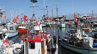 Hafen in der Nähe von Gilleleje Wellnesshus