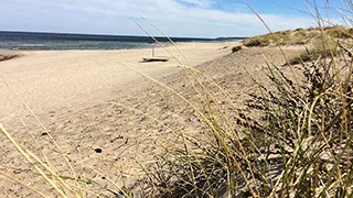 Strand in der Nähe von Jyde Aktivhus