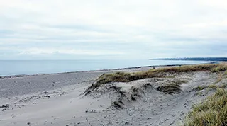 Strand in der Nähe von Troldeskov Aktivhus