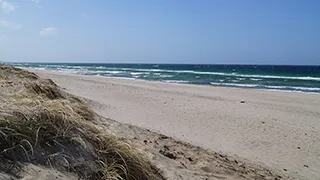 Strand in der Nähe von Troldeskov Aktivhus