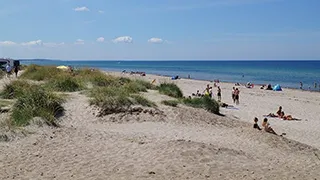 Strand in der Nähe von Troldeskov Aktivhus
