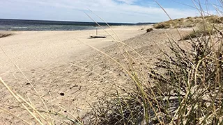 Strand in der Nähe von Skånstrøm Poolhus