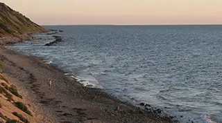 Strand in der Nähe von Højbro Poolhus