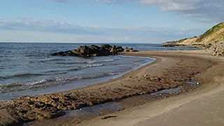 Strand in der Nähe von Taurus Aktivhus