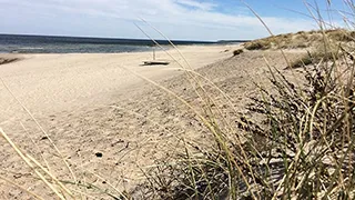 Strand in der Nähe von Egern Aktivhus