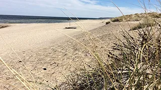 Strand in der Nähe von Bøllejung Aktivhus