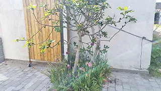 Grundstück von Karrebæks Hyggehus