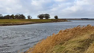 Strand in der Nähe von Svane Lejlighed