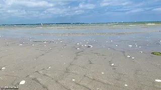 Strand in der Nähe von Quality Time