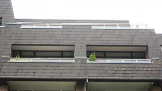 Terrasse von Ferienwohnung Wassersleben