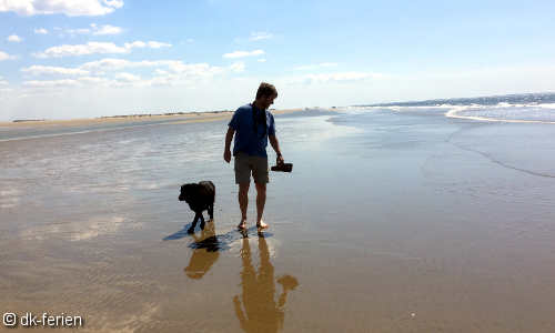 Hund und Herrchen im dänischen Wattenmeer auf der Nordseeinsel Fanø