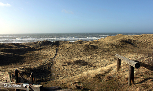 Dünen Tornby Strand