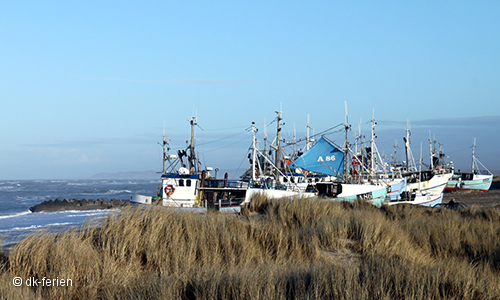 Torup Strand Fischerboote