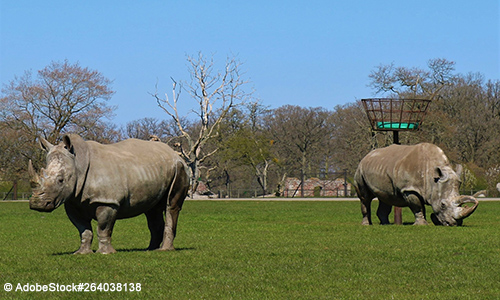 Safaripark auf Lolland