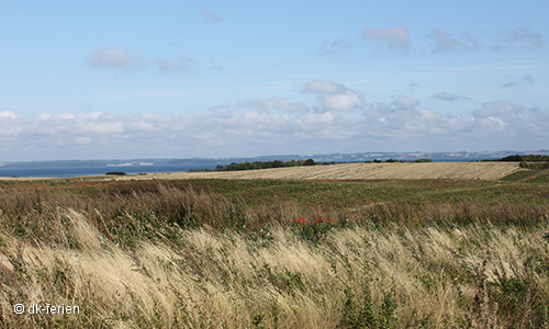 Landschaft Djursland