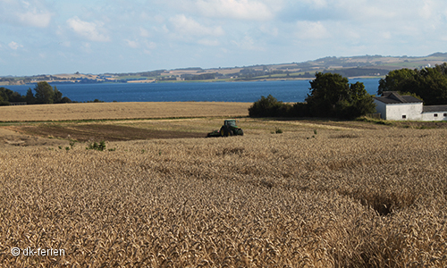 Djursland Landschaft