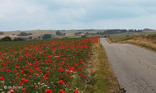 Djursland Landstrsse