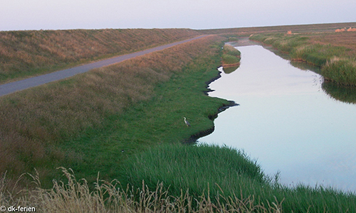 Landschaft von Mandö