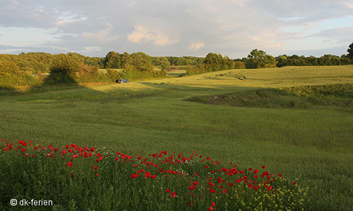 Landschaft auf Alsen