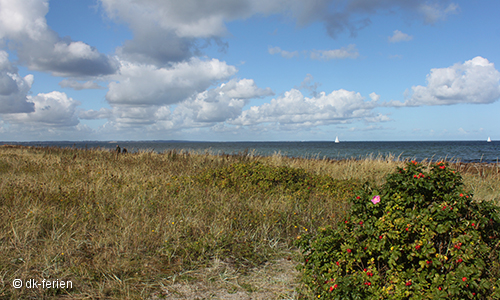 Langeland Landschaft