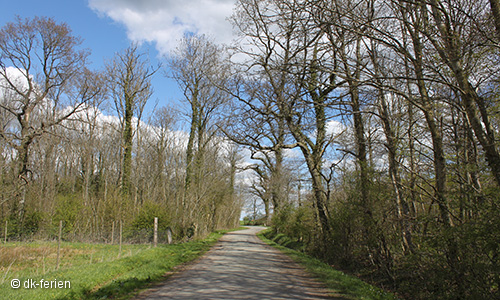 Landschaft am Lillebelt